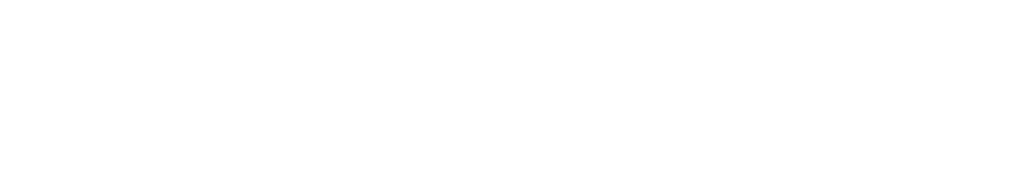 VISVASA
