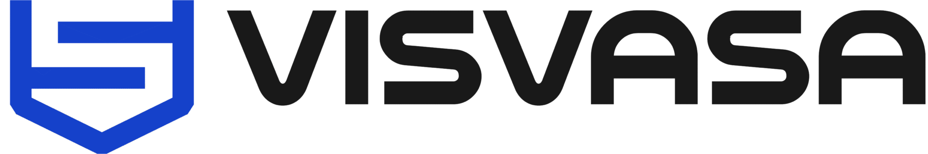 VISVASA